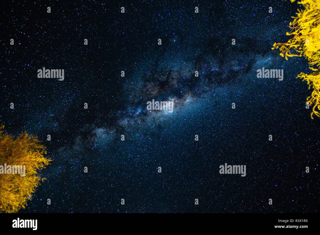 Via lattea galassia diagonale stelle alberi spazio namibia Foto Stock