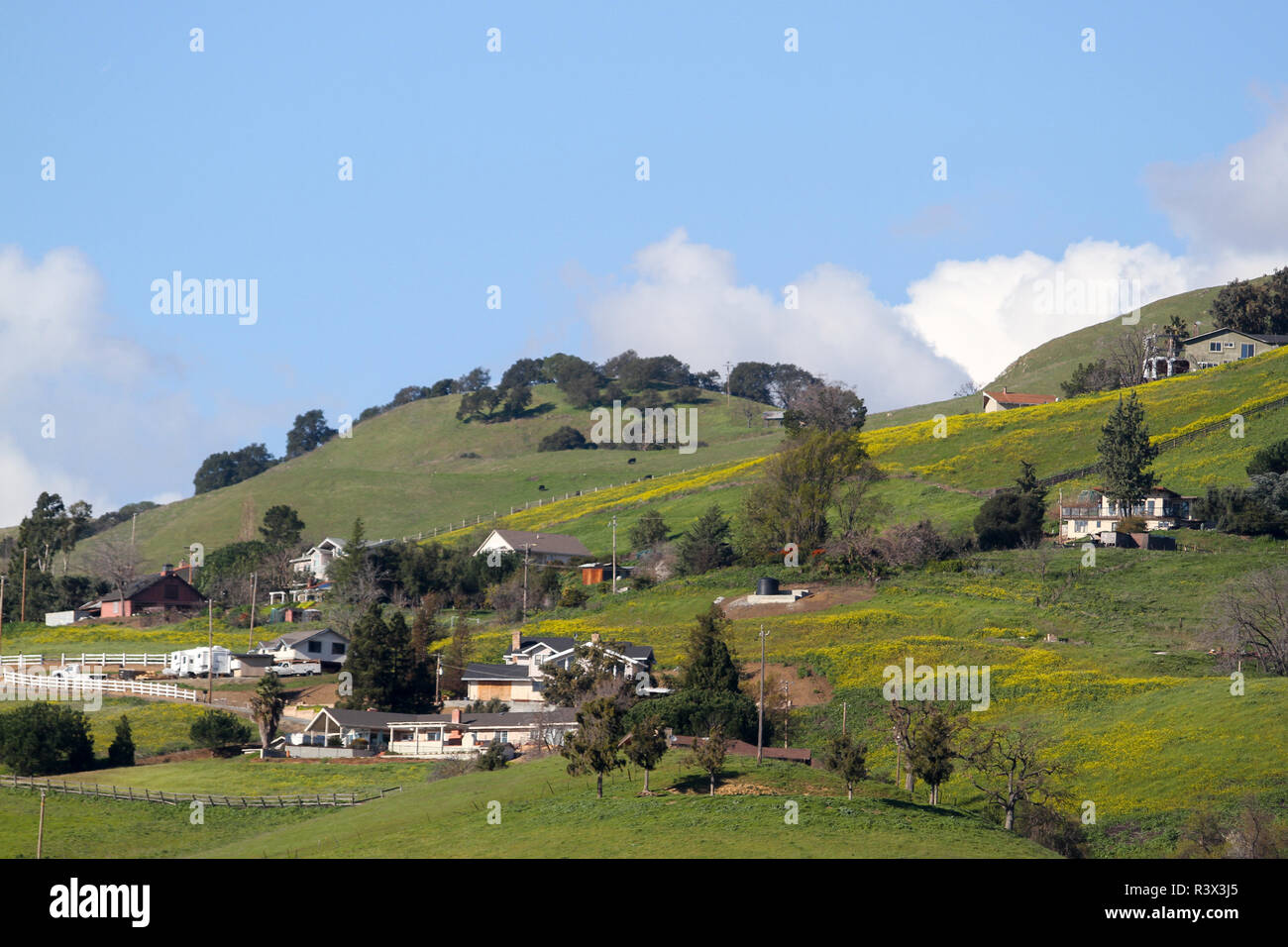 Case sulle colline pedemontane del Mt. Hamilton, Contea di Santa Clara, California, USA. Foto Stock