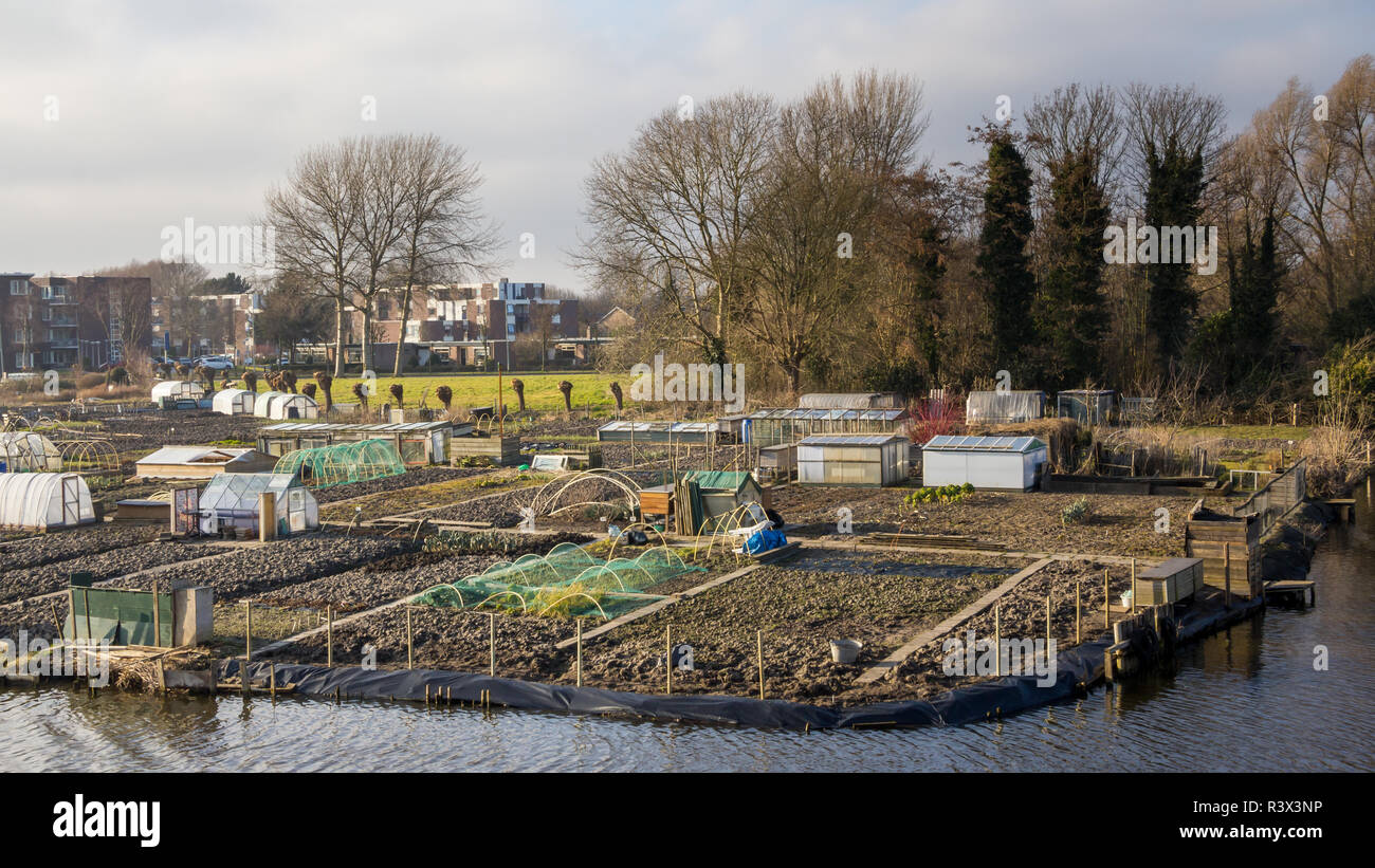 Il giardinaggio della città di Enkhuizen Paesi Bassi Foto Stock
