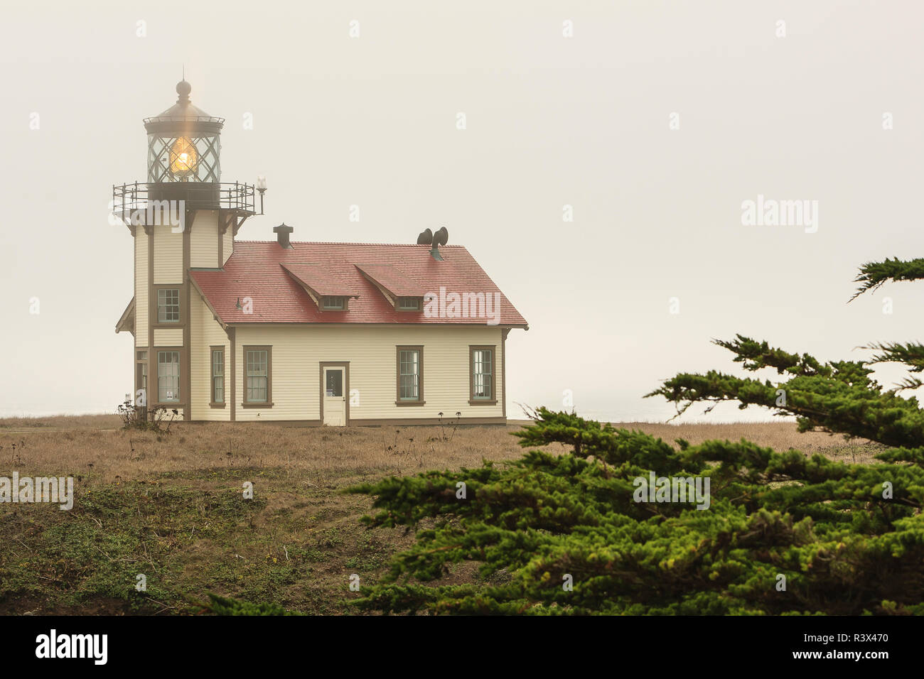 Punto Cabrillo Faro e Riserva Marina, vicino a Mendocino California settentrionale costa, STATI UNITI D'AMERICA Foto Stock