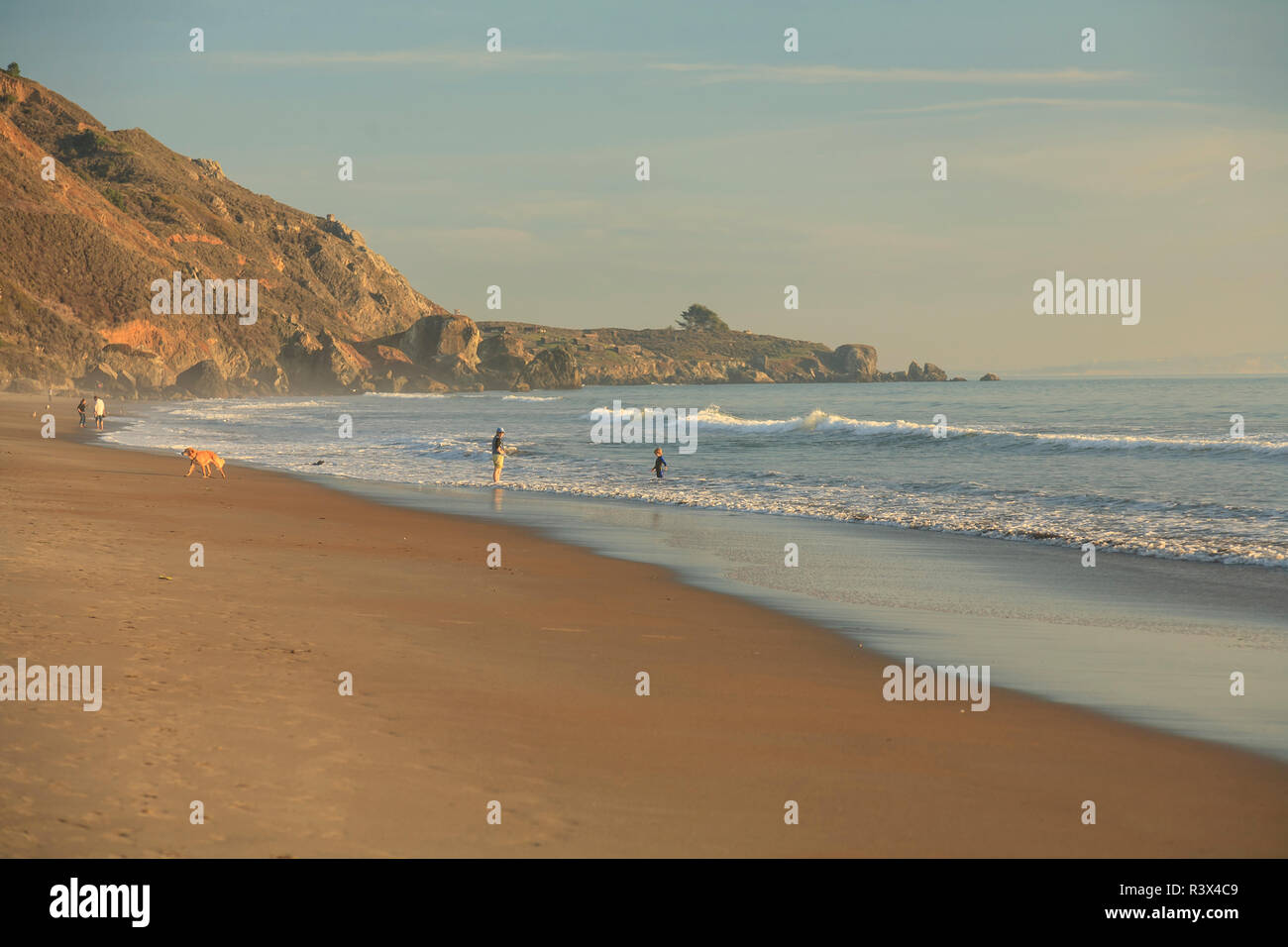 Muir Beach, Golden Gate National Parks Conservancy, San Francisco, California centrale, STATI UNITI D'AMERICA Foto Stock