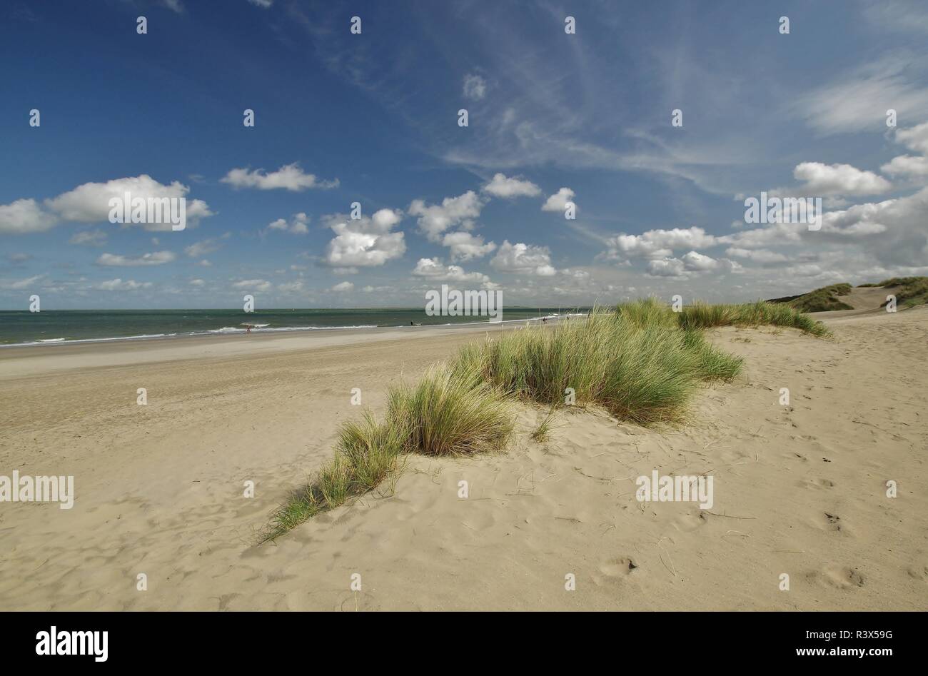 Le dune a Renesse,schouwen-duiveland,Olanda meridionale Foto Stock