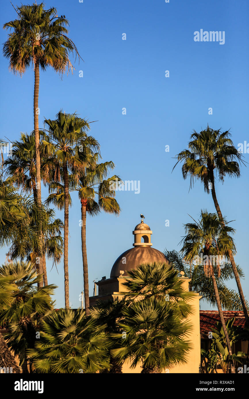 San Diego, California. Seagull sorge su una cupola spagnolo edificio circondato da alberi di palma Foto Stock