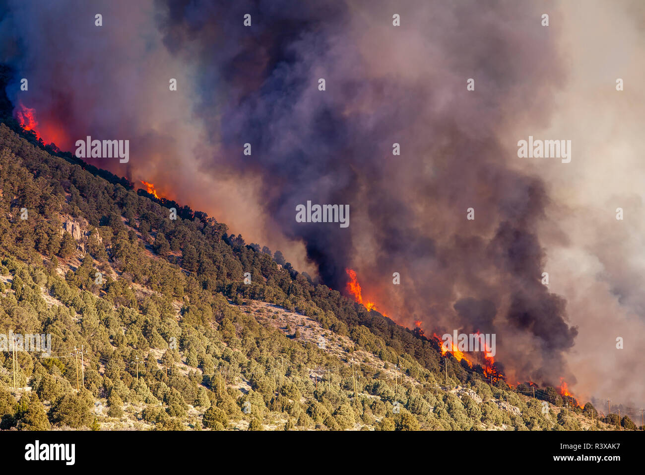 Stati Uniti, California, Lee Vining. Cal Fire al lavoro sulla marina wildfire Foto Stock