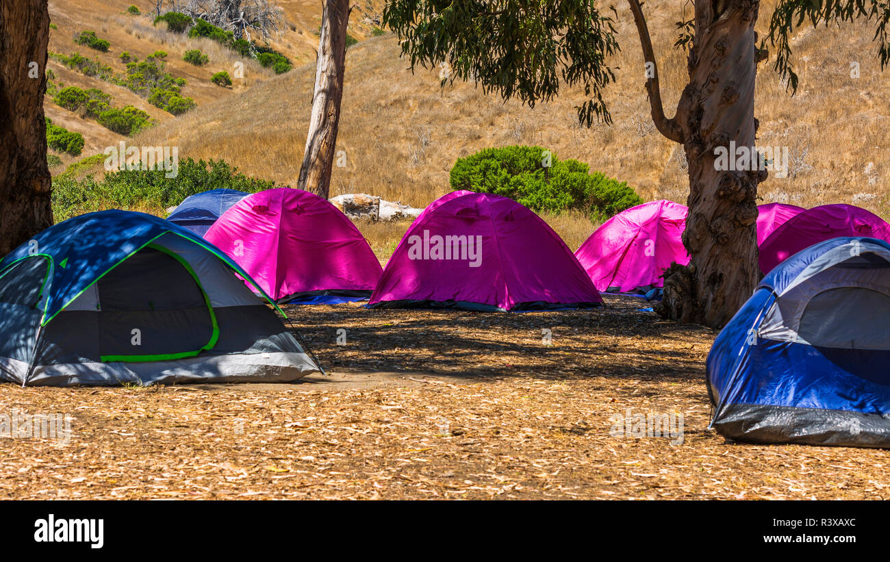 Campeggio a Scorpion Ranch, Isola di Santa Cruz, Channel Islands National Park, California, Stati Uniti d'America Foto Stock