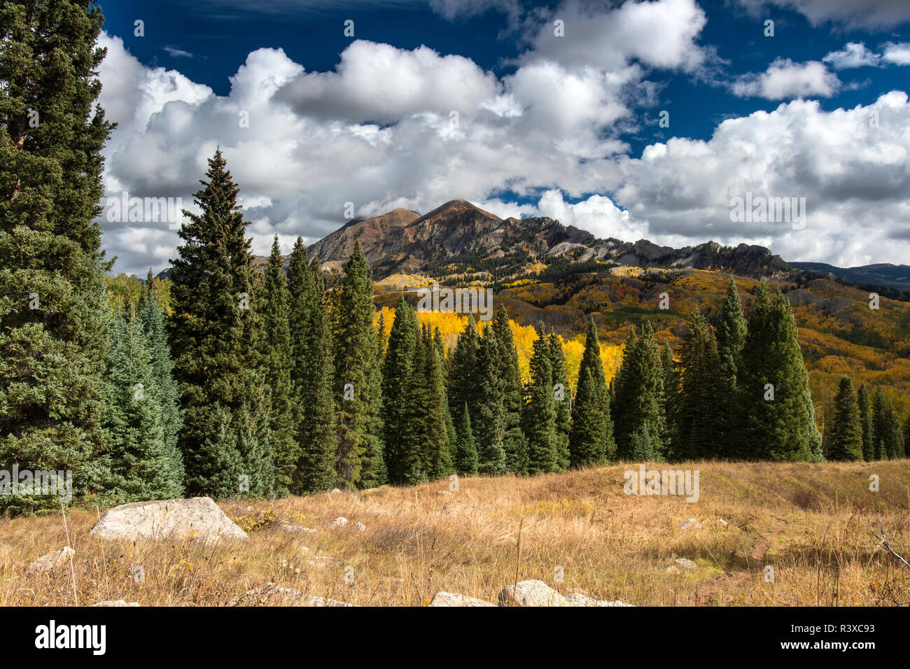 Foresta e Autunno a colori sotto il monte Owen e Ruby picco, Beckwith Pass Trail, Crested Butte, la Foresta Nazionale di Gunnison, Colorado Foto Stock