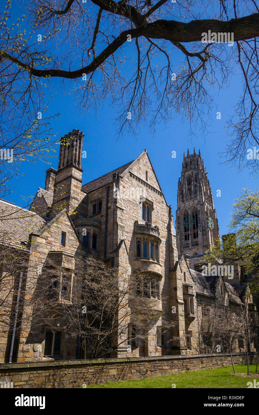 Stati Uniti d'America, Connecticut, New Haven, Università di Yale Foto Stock