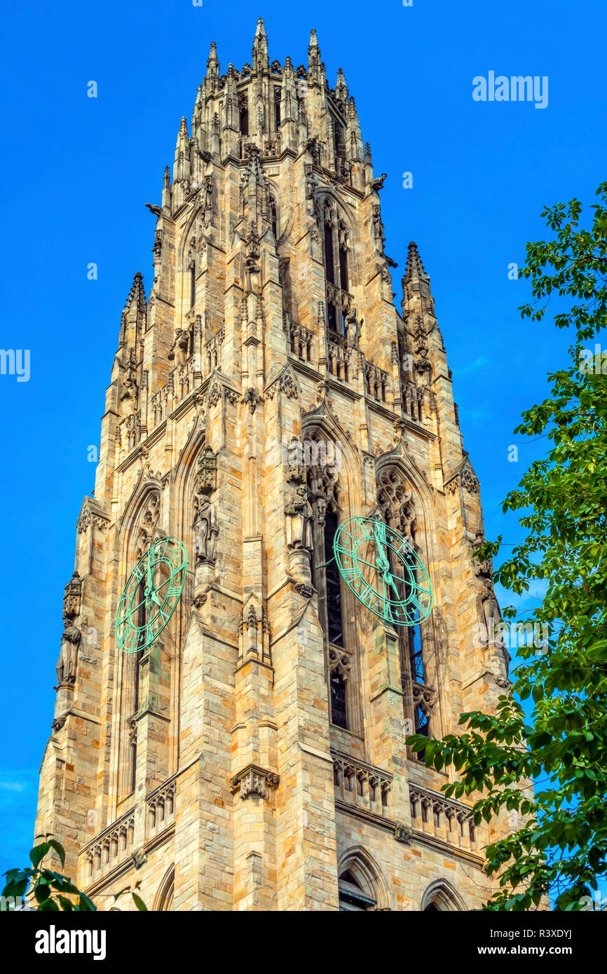 Harkness Tower, Yale University, New Haven, Connecticut. Completato nel 1922 come parte del quadrangolo Memorial. Foto Stock