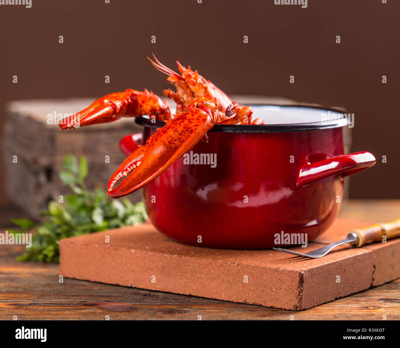 Aragosta Foto Stock