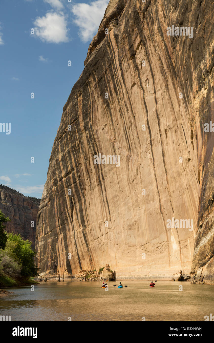 Stati Uniti d'America, Colorado, dinosauro monumento nazionale. Kayakers racchetta da Steamboat Rock. Foto Stock