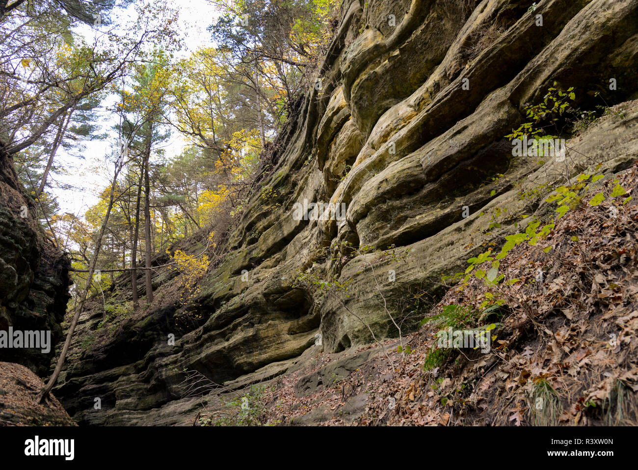 Canyon di arenaria di Starved Rock State Park di Oglesby, Illinois Foto Stock