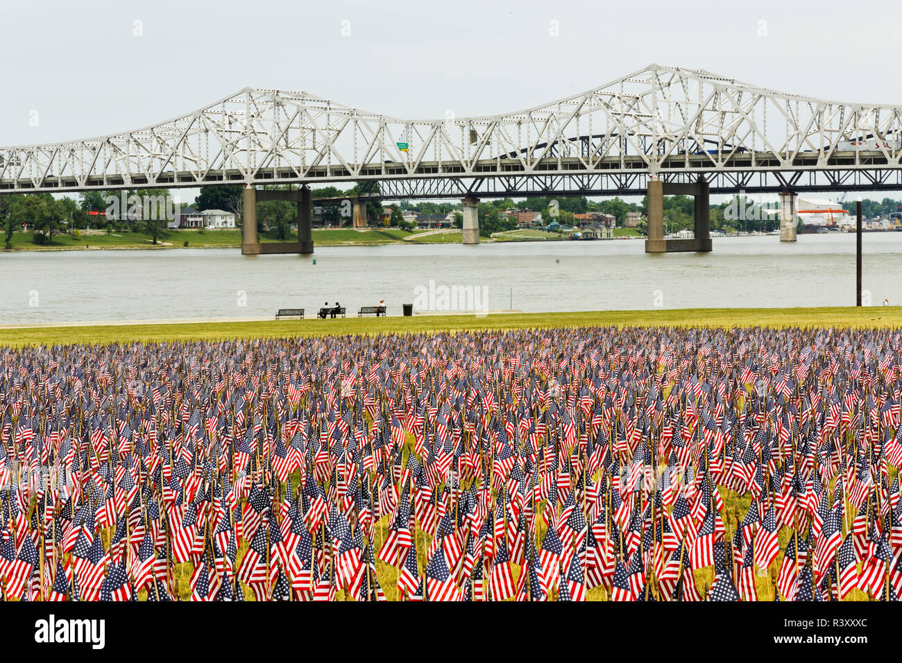 Venti mila bandierine americane sul grande prato, Louisville, Kentucky, Via di luglio Foto Stock