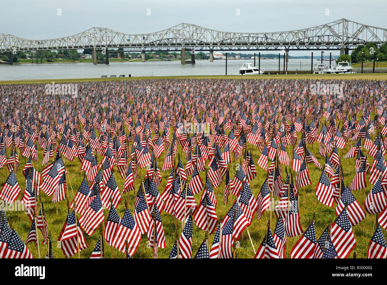 Venti mila bandierine americane sul grande prato, Louisville, Kentucky, Via di luglio Foto Stock