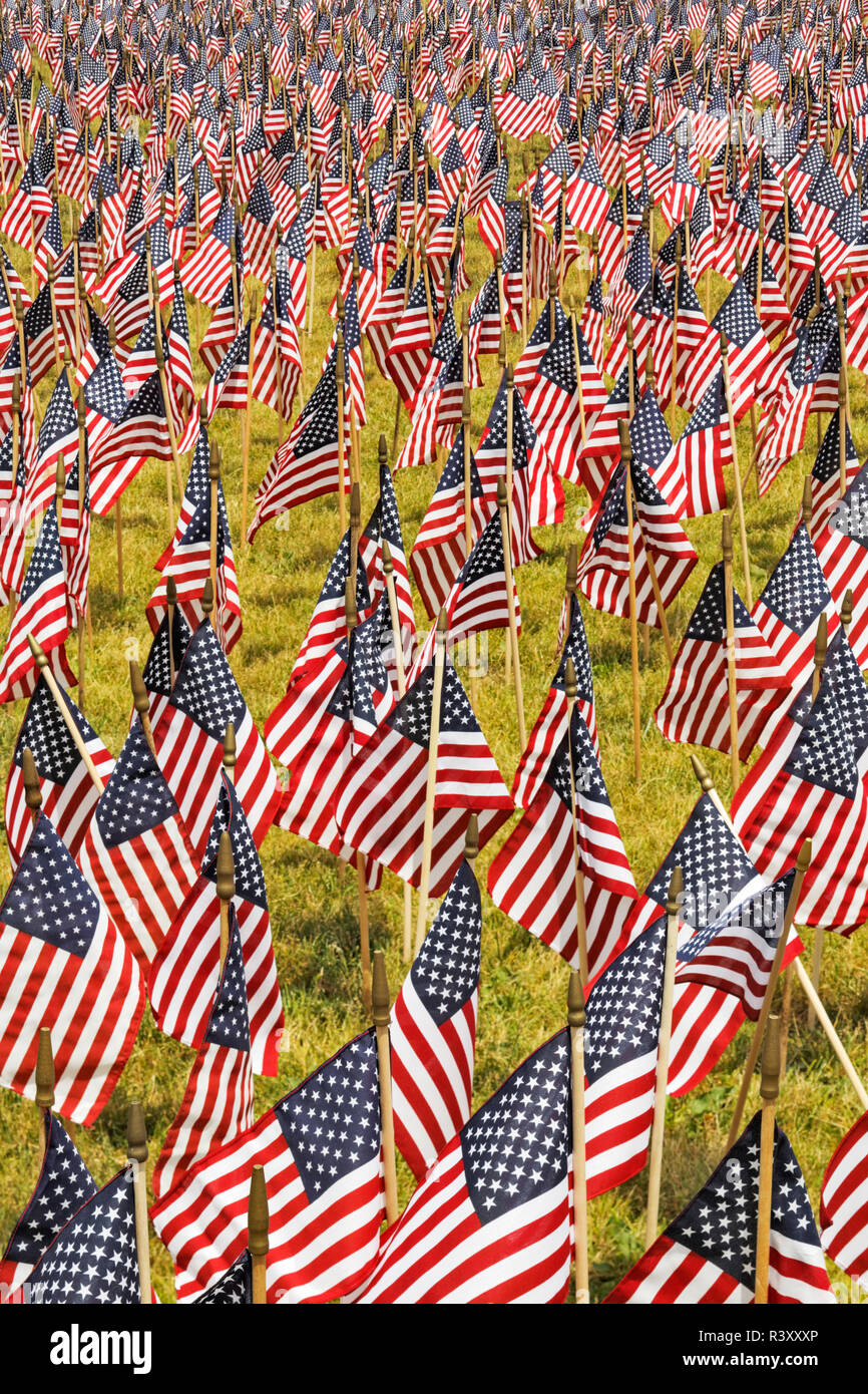 Venti mila bandierine americane sul grande prato, Louisville, Kentucky, Via di luglio Foto Stock