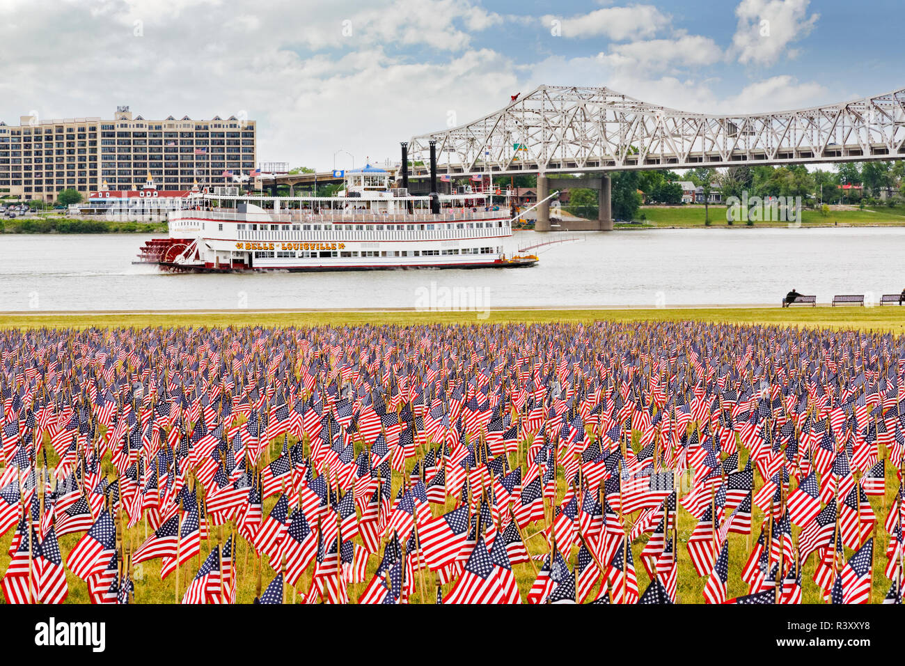 Venti mila bandierine americane sul grande prato e belle di Louisville, Kentucky, il 4 di luglio. Foto Stock