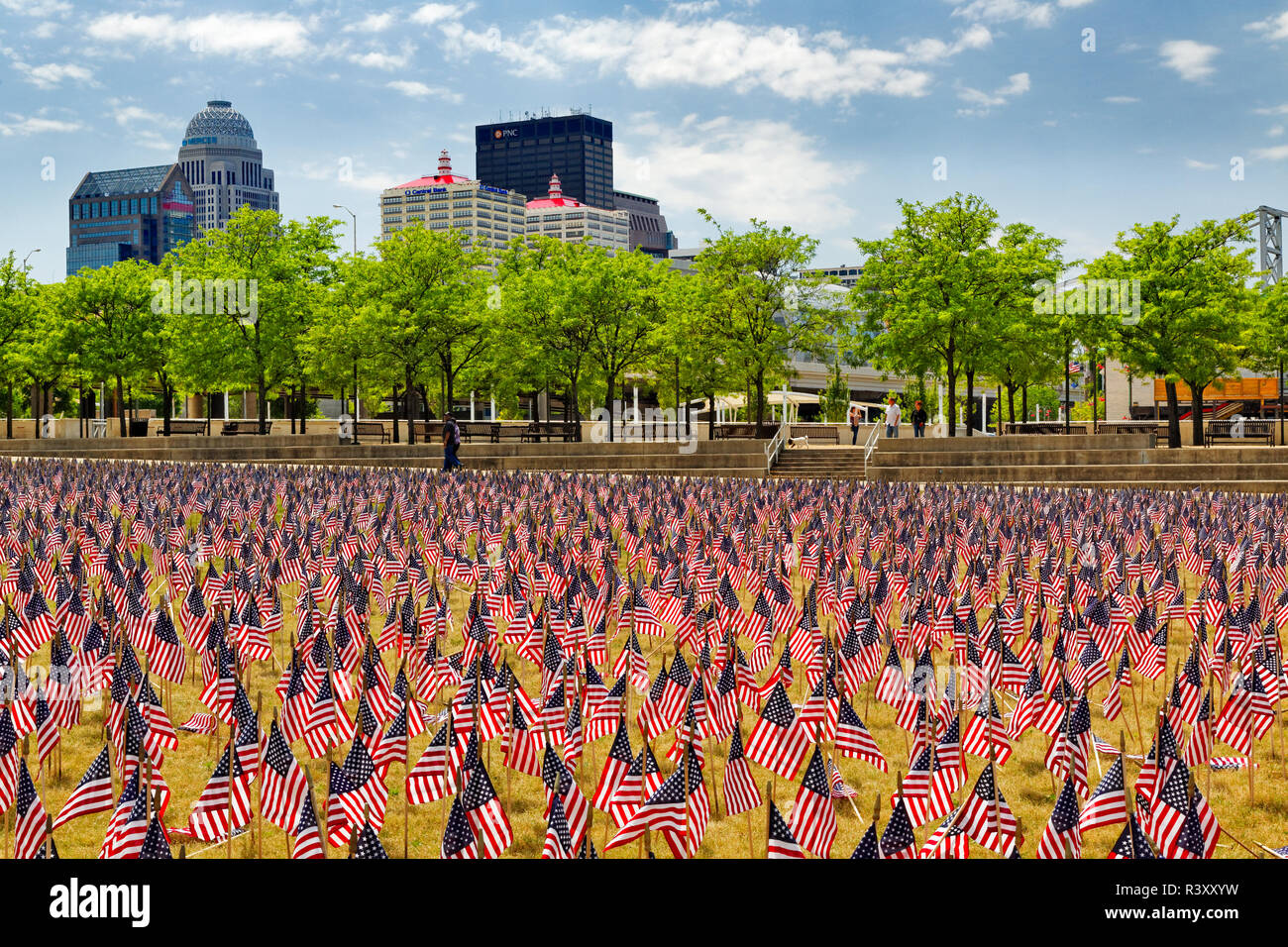 Venti mila bandierine americane sul grande prato, Louisville, Kentucky, Via di luglio Foto Stock