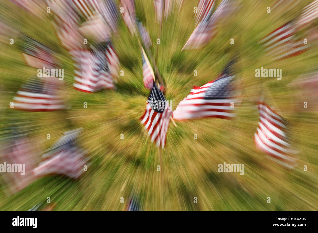 Effetto zoom sulle bandierine americane sul grande prato, Via di luglio, Louisville, Kentucky Foto Stock