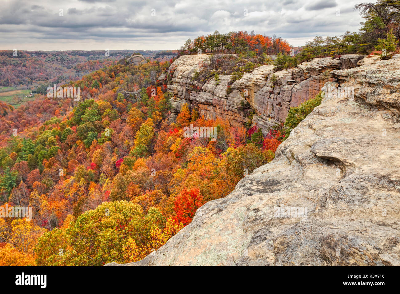 I colori dell'autunno, Red River Gorge, Kentucky Foto Stock