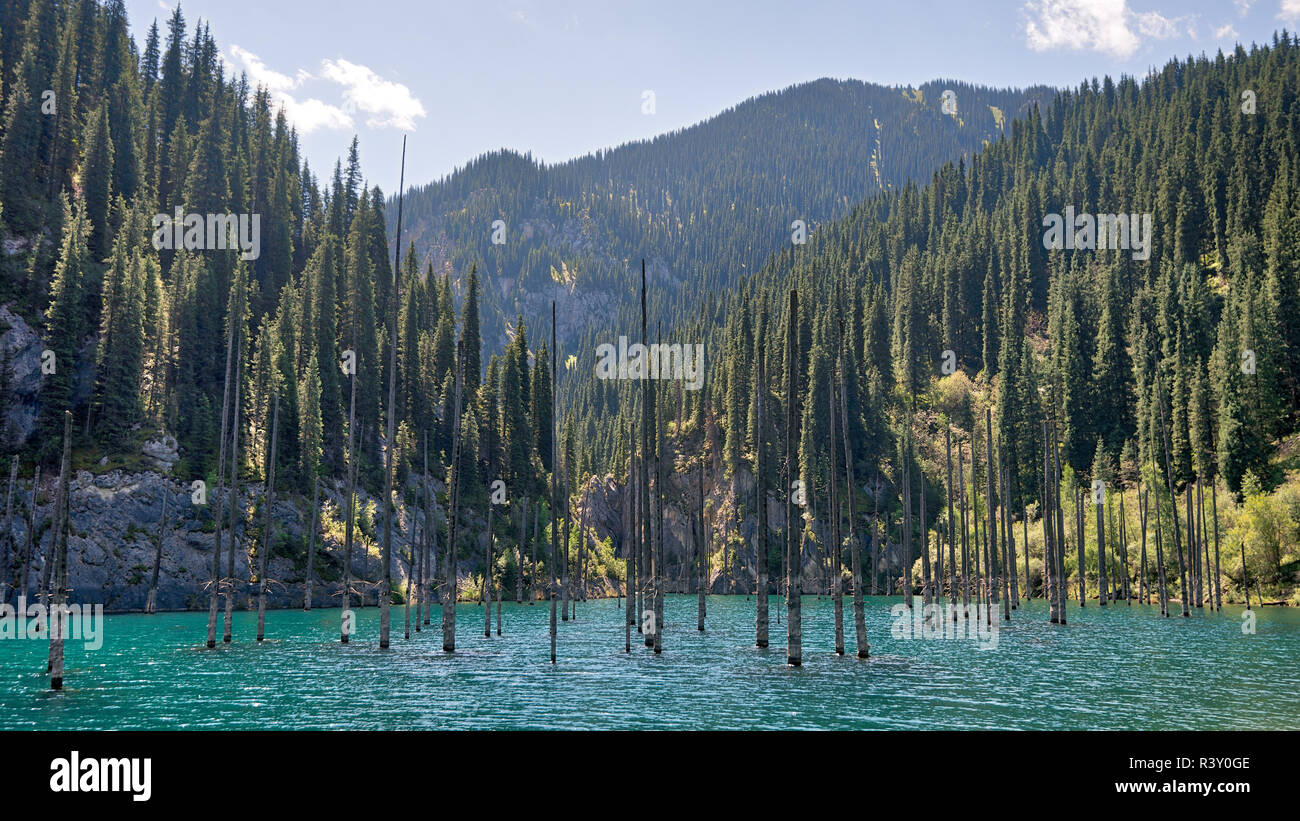 Lago di Kaindy nel Sud Est del Kazakistan, presa in agosto 2018 presi in hdr Foto Stock