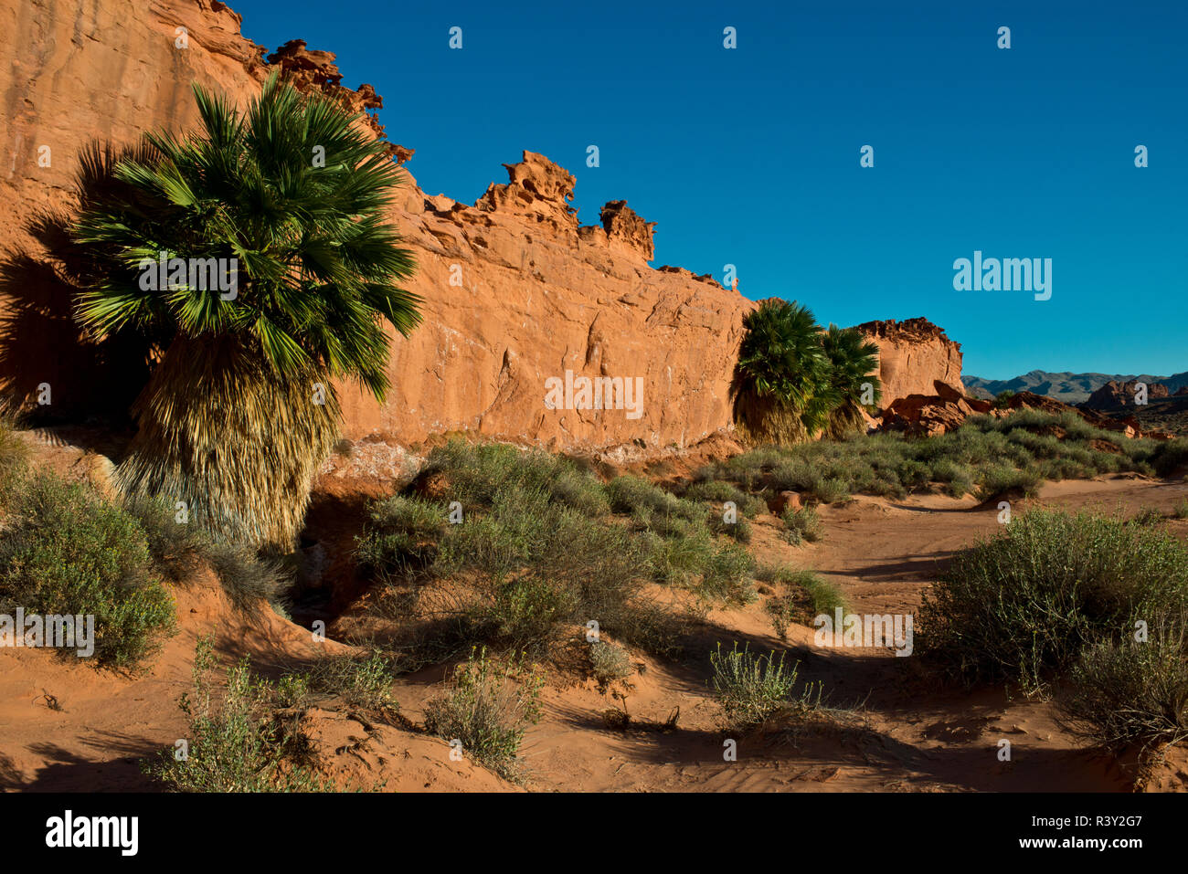 Stati Uniti d'America, Nevada, Mesquite. Gold Butte National Monument, piccola Finlandia Foto Stock