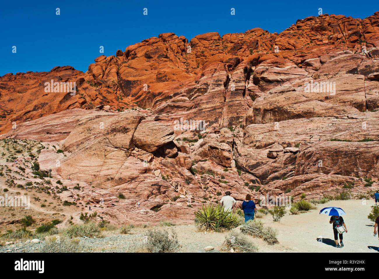 Stati Uniti d'America, Nevada, Las Vegas Red Rock National Conservation Area, calicò colline a sud si affacciano Foto Stock