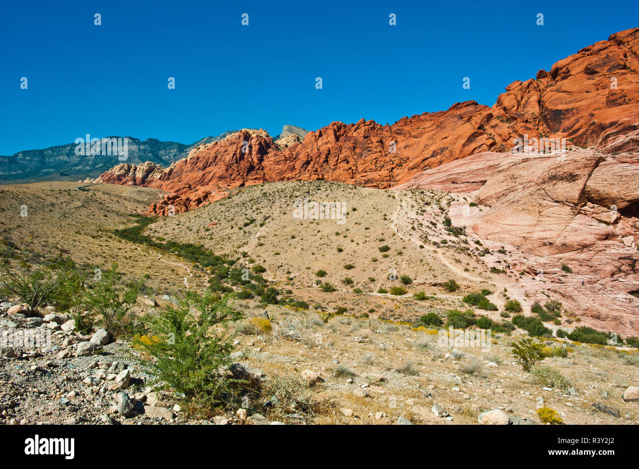 Stati Uniti d'America, Nevada, Las Vegas Red Rock National Conservation Area, calicò colline a sud si affacciano Foto Stock