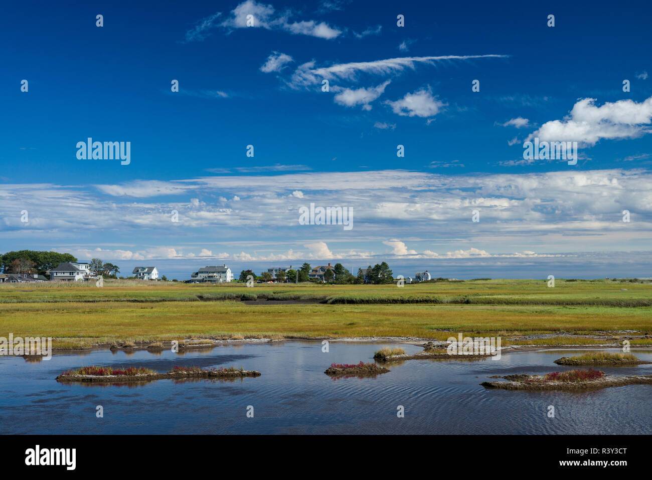 Stati Uniti d'America, New Hampshire, segala Harbour, vista palude Foto Stock