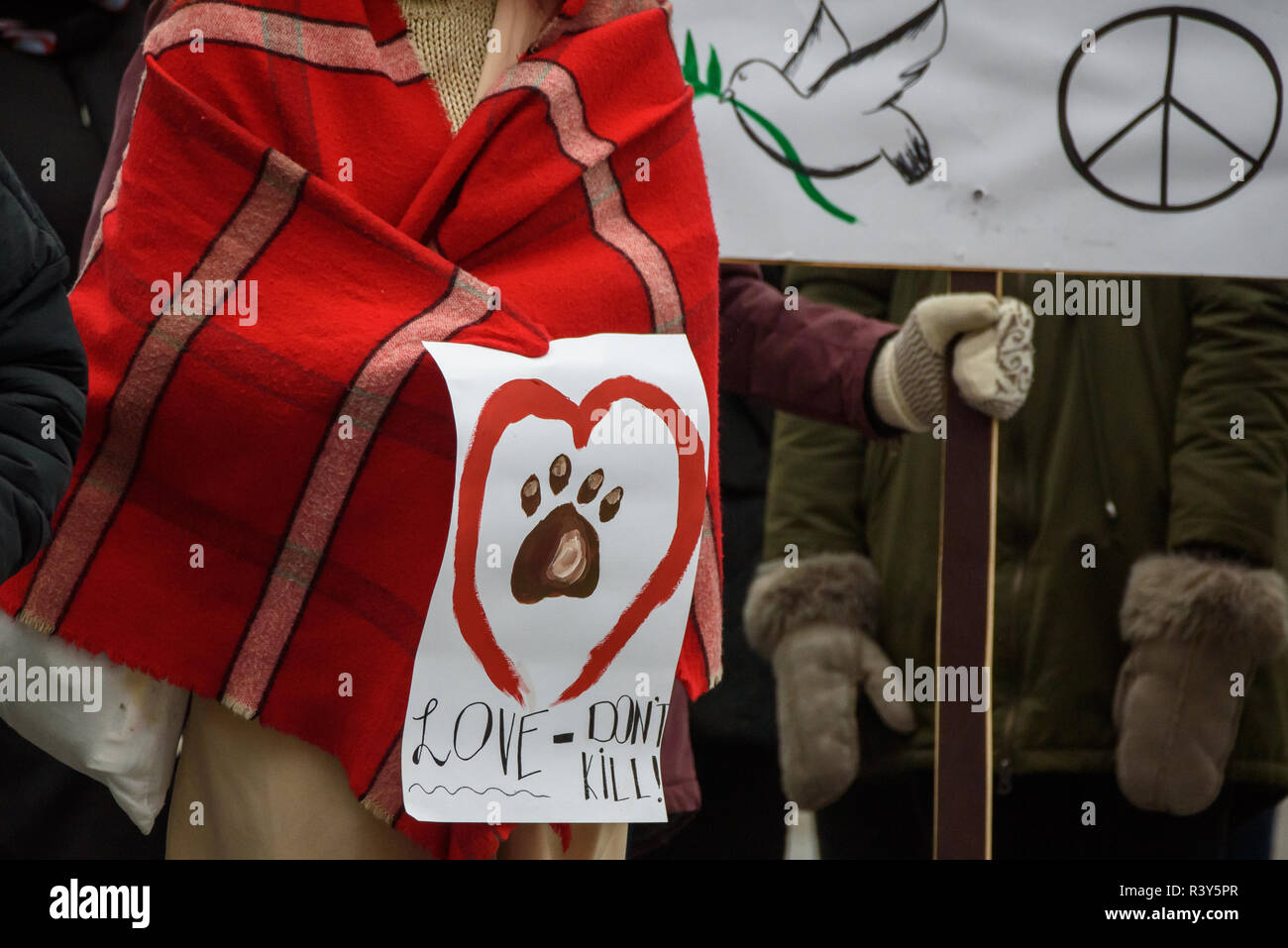 Riga, Lettonia. 24 Nov 2018. Marzo per animali in Riga, Lettonia. Il più grande animale advocacy evento nella storia della Lettonia. Credito: Gints Ivuskans/Alamy Live News Foto Stock