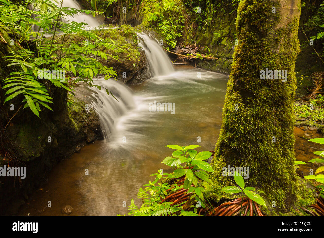 Stati Uniti d'America, Hawaii, Hawaii Tropicale Giardino Botanico. Cascata scenic. Foto Stock
