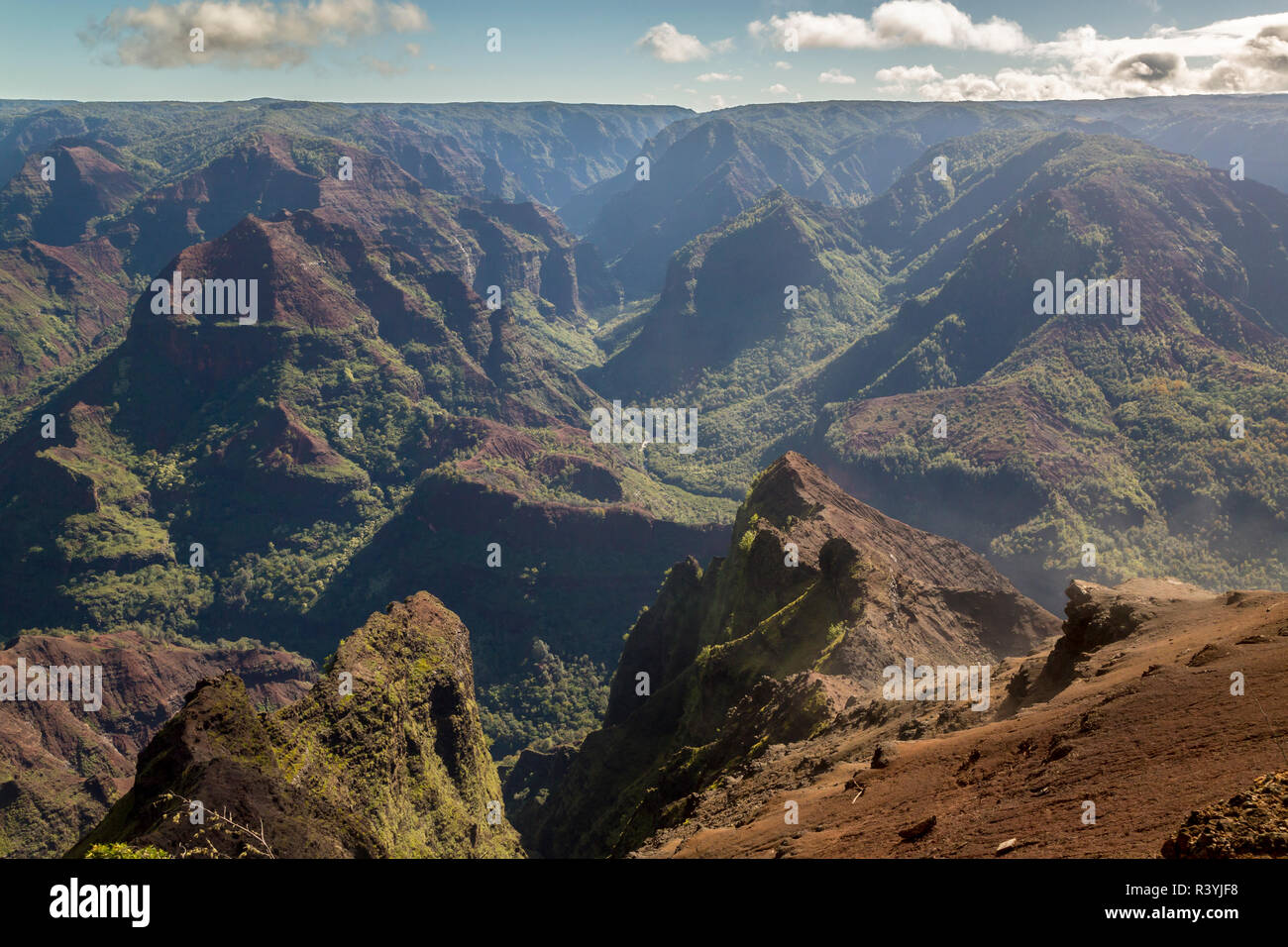 Stati Uniti d'America, Hawaii, Kauai. Il Canyon di Waimea paesaggio. Foto Stock