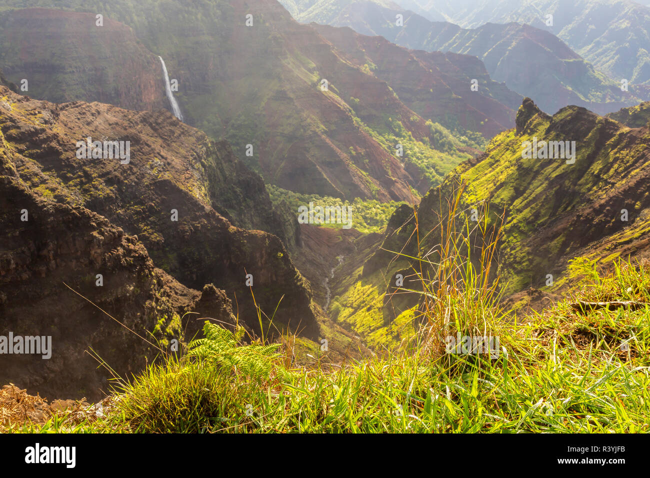 Stati Uniti d'America, Hawaii, Kauai. Il Canyon di Waimea e cade. Foto Stock