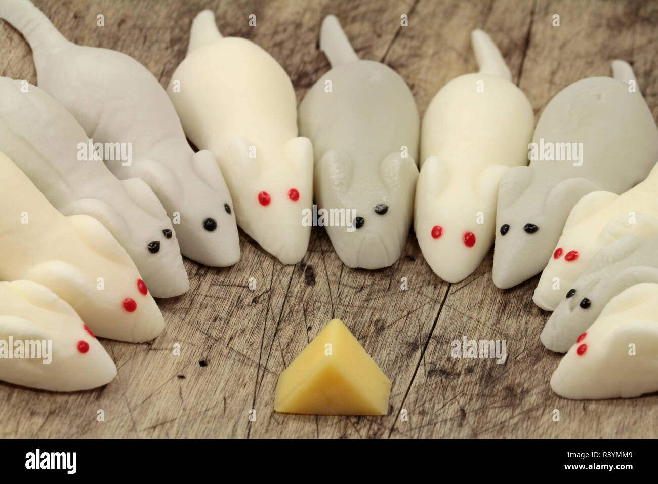 Marshmallow marshmallow bianco i topi nella trappola a scatto Foto Stock