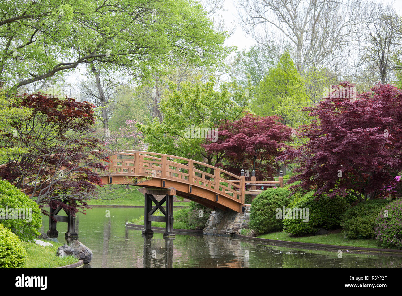 Giardino giapponese in primavera, del giardino botanico del Missouri, St. Louis, Missouri Foto Stock