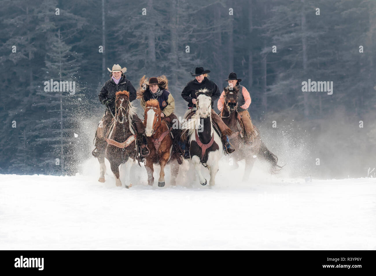 Cowgirls a cavallo al galoppo verso la telecamera nella neve, Kalispell, Montana Foto Stock