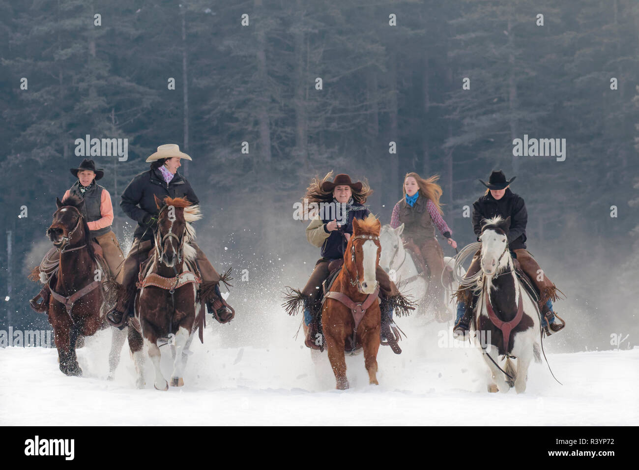 Cowgirls a cavallo al galoppo verso la telecamera nella neve, Kalispell, Montana Foto Stock