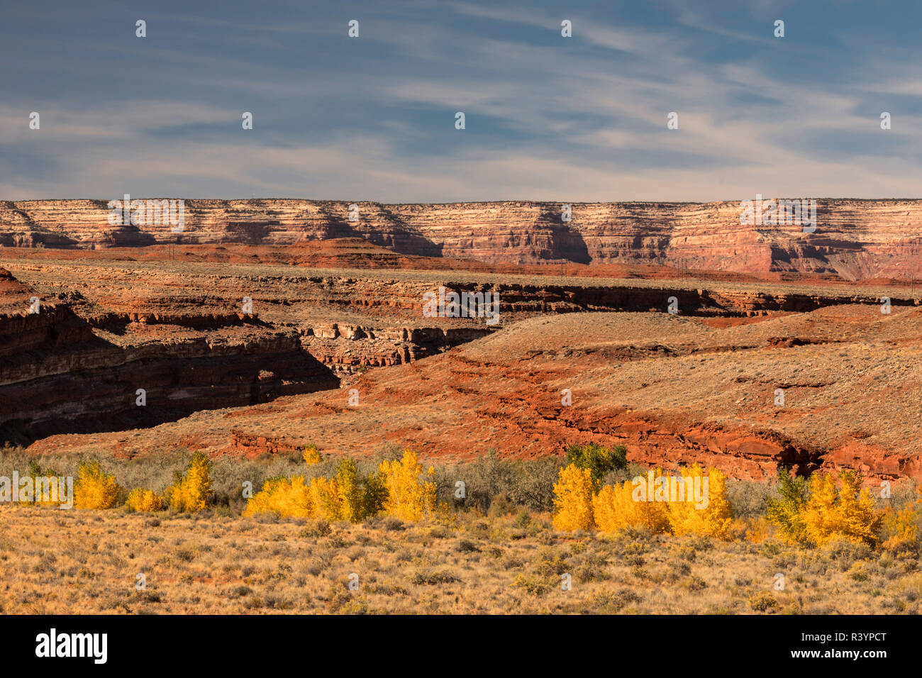 Parco Nazionale di Yellowstone Foto Stock