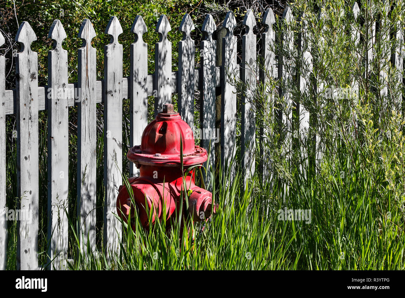 Stati Uniti d'America, Montana. Nevada City, deposito dei treni, idrante di fuoco e la recinzione con ricoperta di erba e piante infestanti Foto Stock