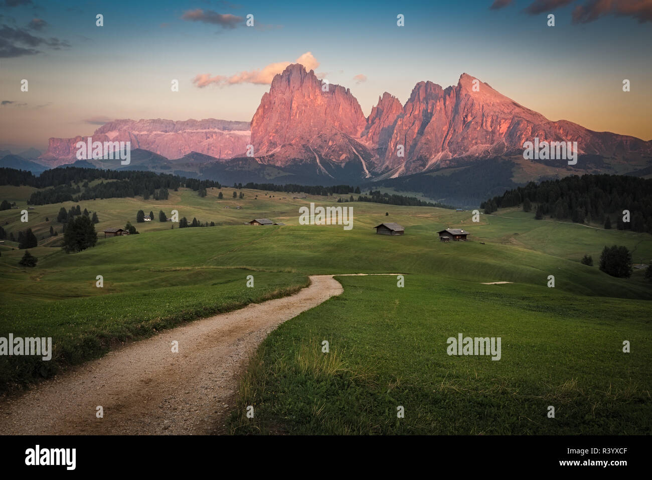 Alpe di Siusi con il Gruppo del Sasso Lungo dopo il tramonto, Alto Adige, Italia Foto Stock