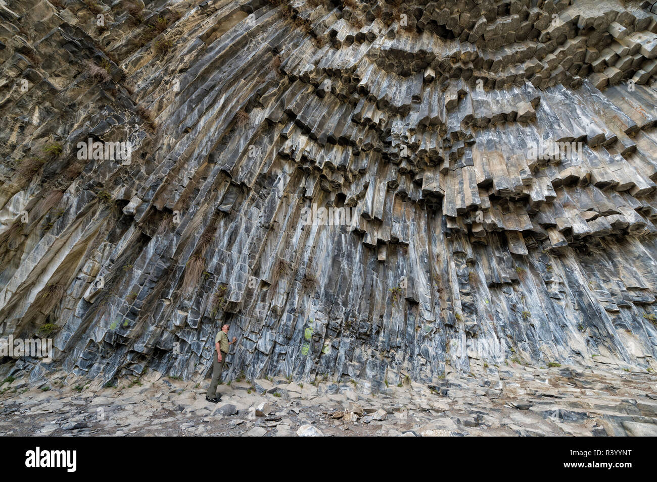 Sinfonia di pietre, colonne di basalto formazione lungo Garni gorge, provincia di Kotayk, Armenia Foto Stock