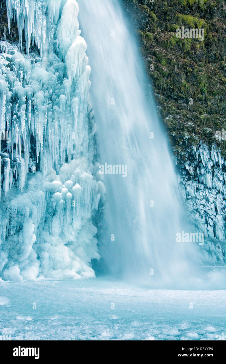 Equiseto cade, congelate, inverno, Columbia Gorge, Oregon, Stati Uniti d'America Foto Stock