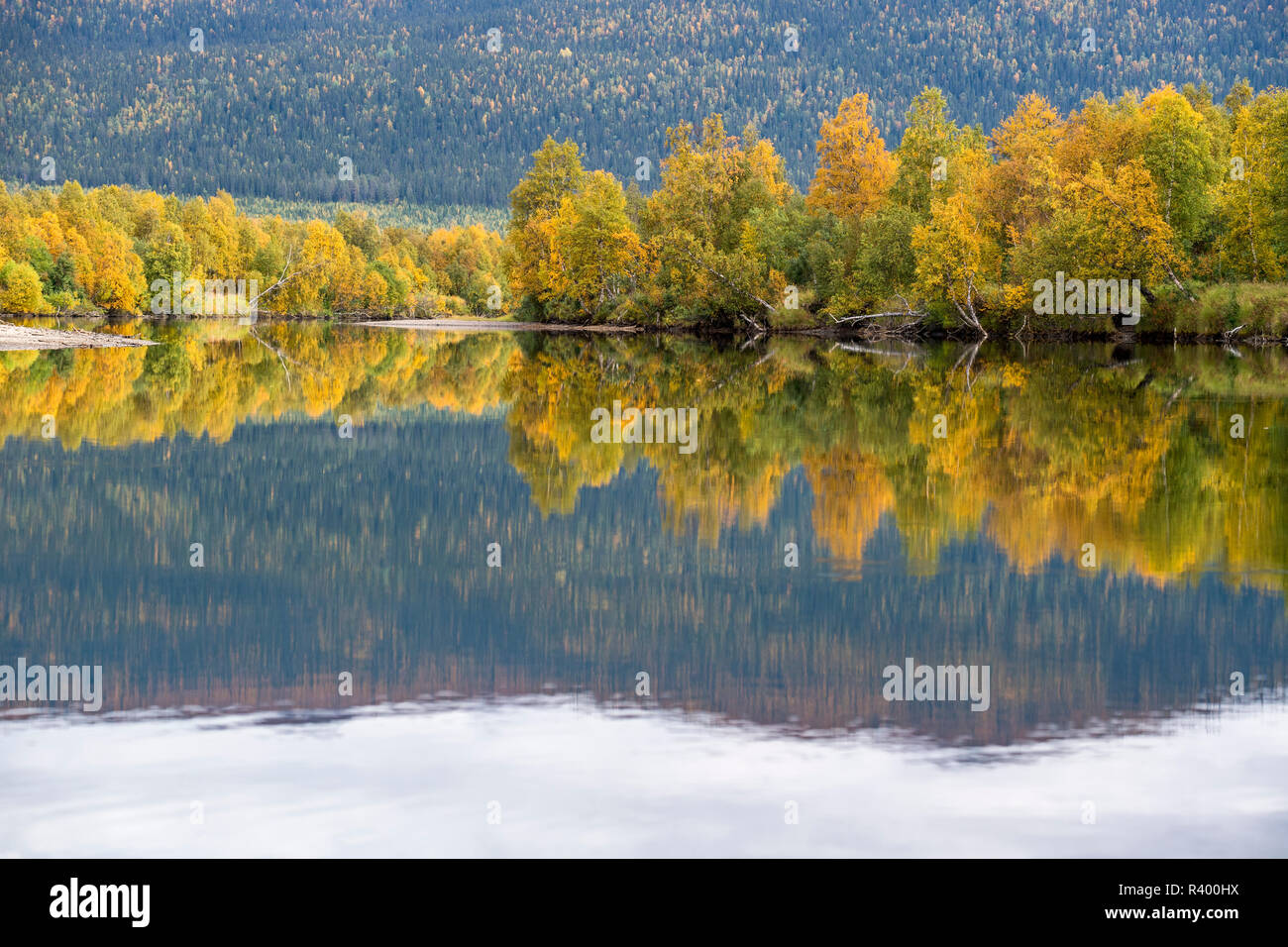 Fiume Tarraätno in autunno, Kvikkjokk, Laponia, Norrbotten, Lapponia, Svezia Foto Stock