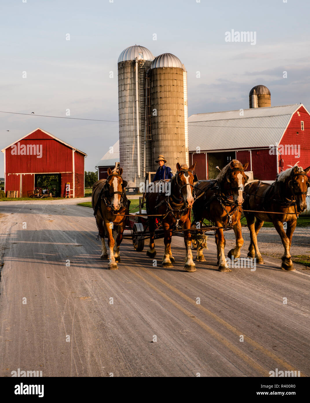 Lancaster County, Pennsylvania. Team di quarter horses, guidato da un agricoltore Amish lasciando il granaio rosso e silos Foto Stock
