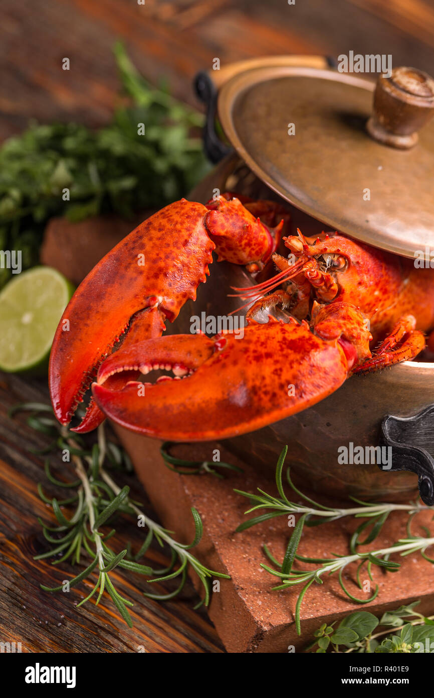 Aragosta Foto Stock