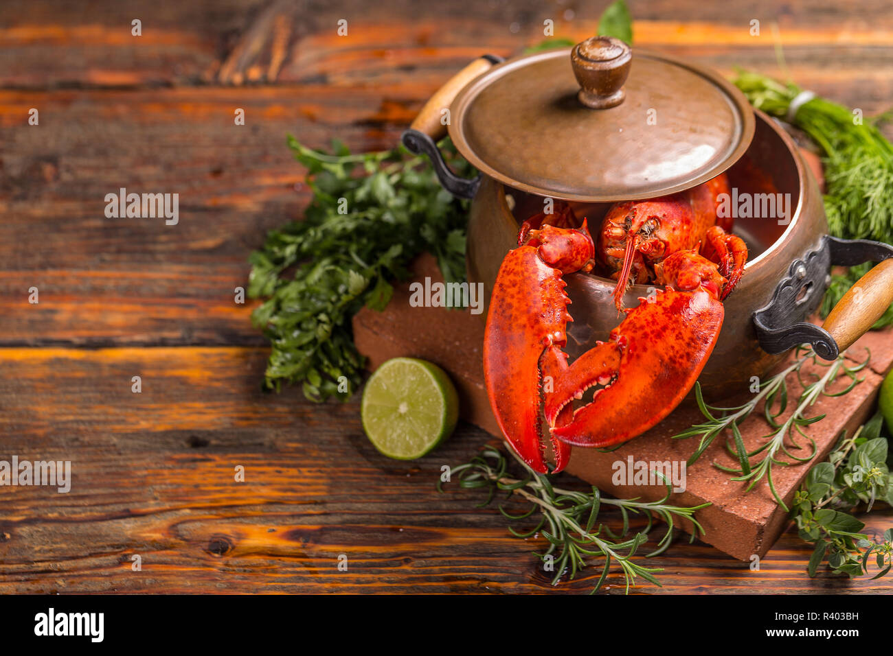 Aragosta Foto Stock