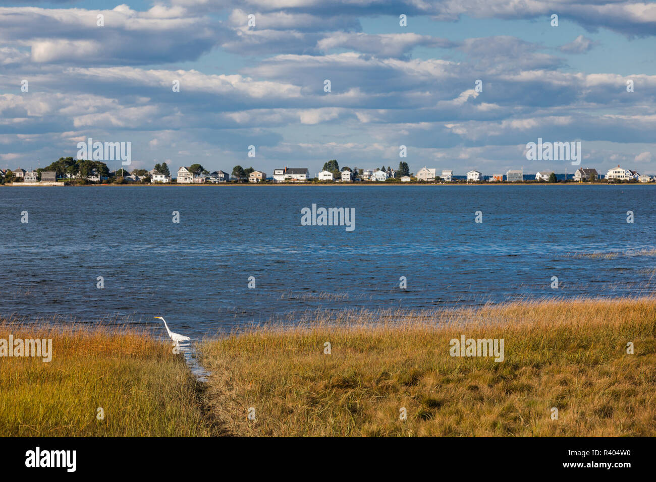 Stati Uniti d'America, Maine, Cape focena, villaggio porto Foto Stock