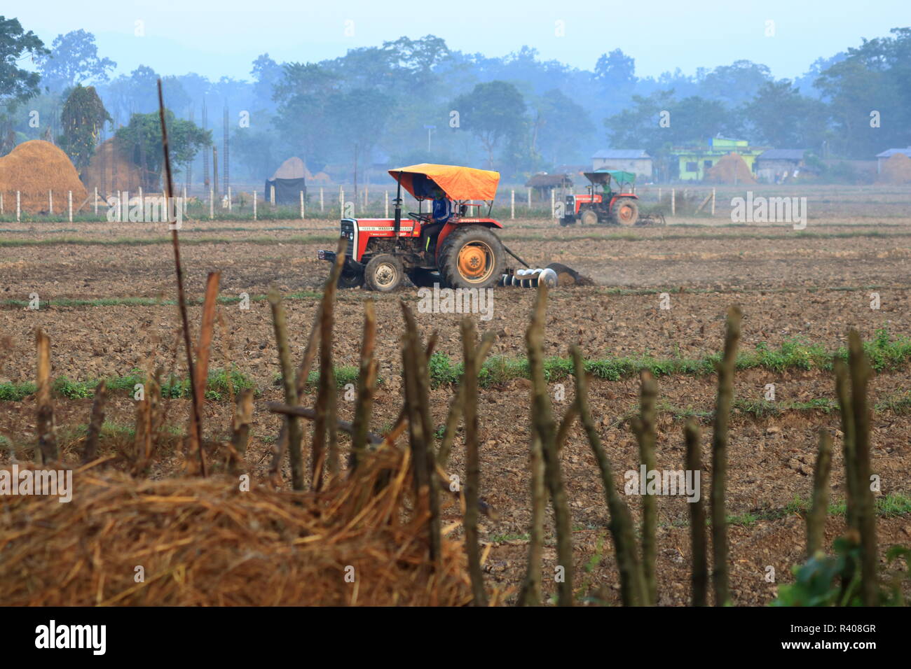 Il trattore arare un campo di riso, Nepal Foto Stock