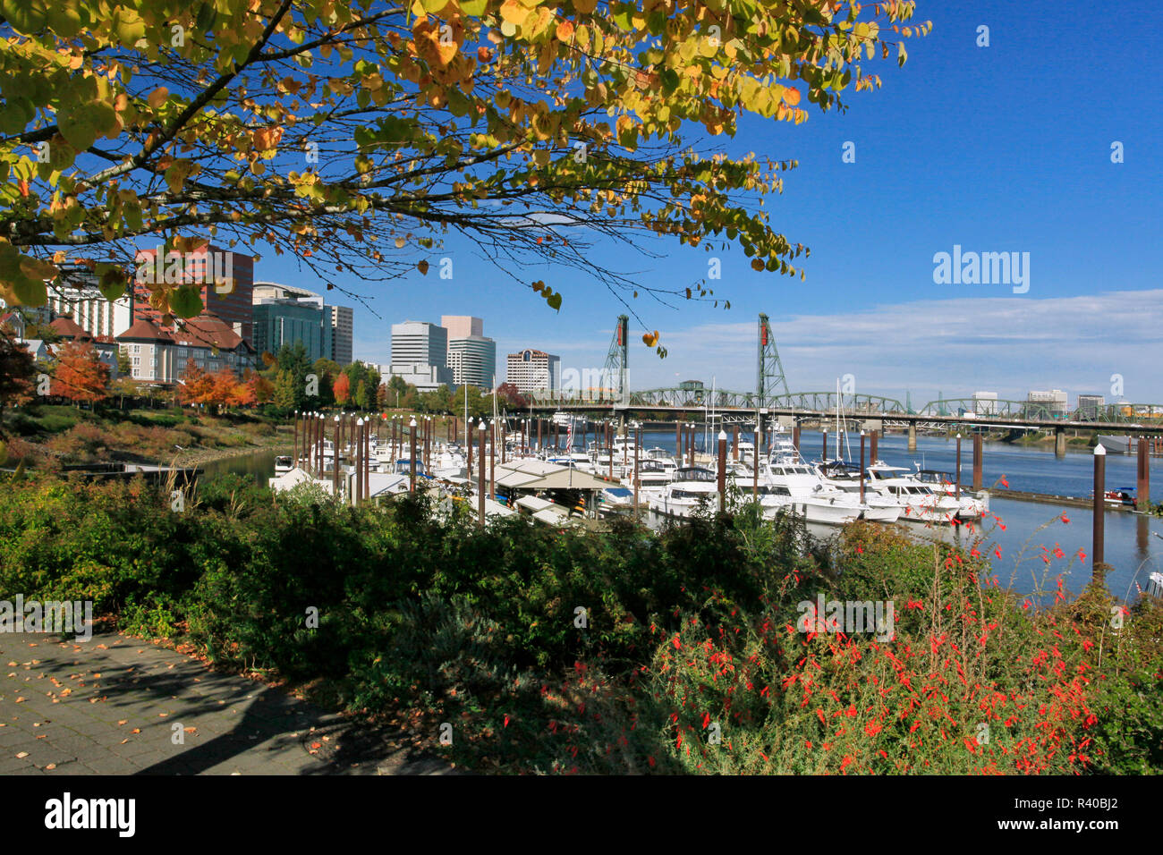 Stati Uniti d'America, Oregon, Portland. Barche ormeggiate nel porto. Credito come: Steve Terrill Jaynes / Galleria / DanitaDelimont.com Foto Stock