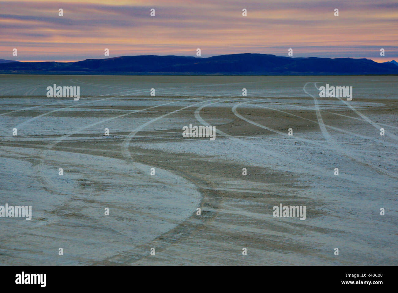 Stati Uniti d'America, Oregon. Tracce di pneumatici su Alvord deserto a sunrise. Foto Stock