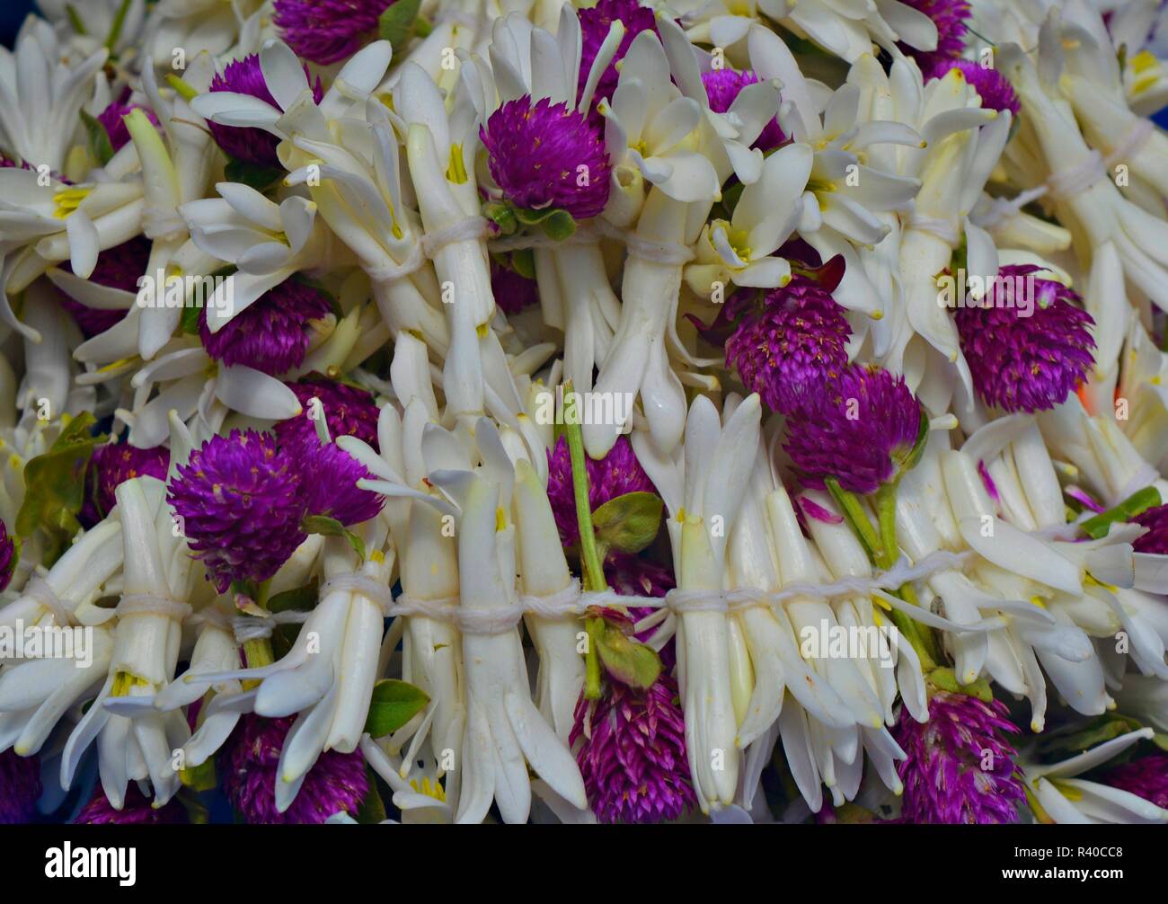 Ghirlanda di fiori colorati Foto Stock