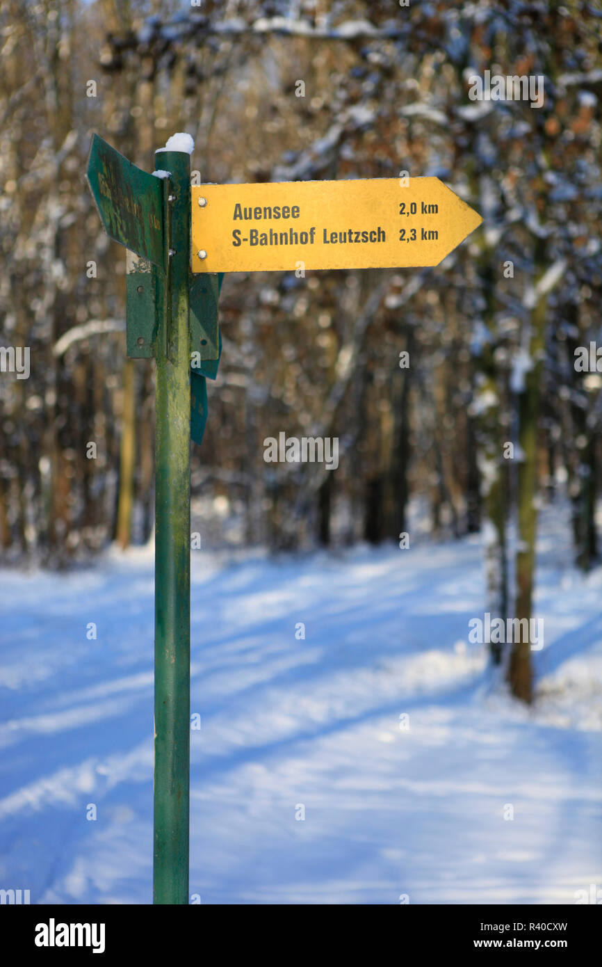 Leipziger auenwald d'inverno,segnaletica Foto Stock